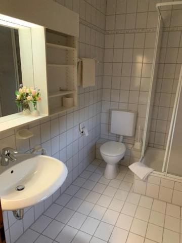 Zum Floesser Neckartenzlingen Екстер'єр фото